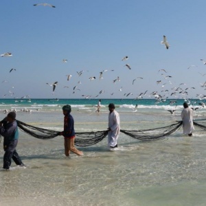 Battuta di pesca in Oman