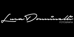 donninellilucafoto.com logo