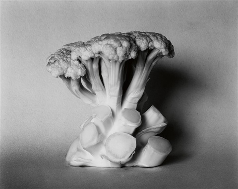 edward-weston-cauliflower_1936