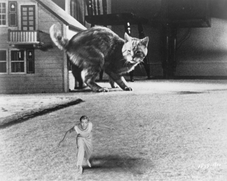 Jack Arnold - The Incredible Shrinking Man (1957)